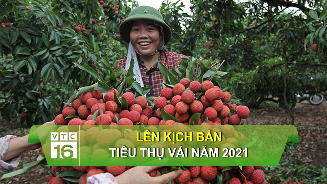 Từ Phụ nữ tuổi này dễ có